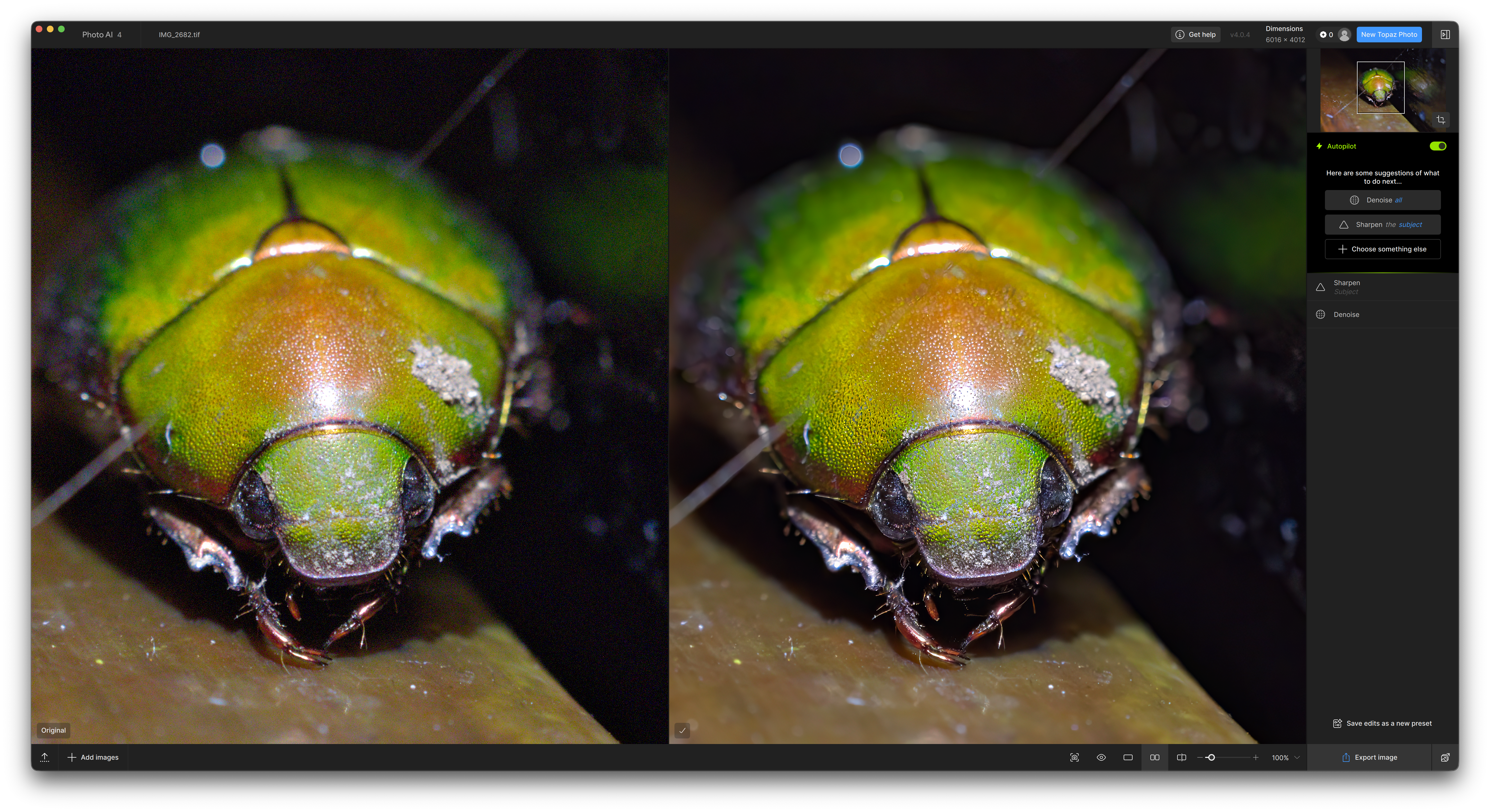 Topaz Photo AI UI